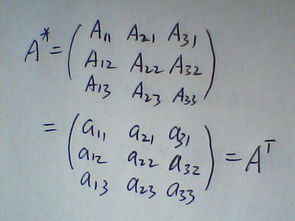 什么时候a的伴随矩阵等于a的转置