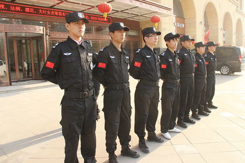 芜湖市工厂保安哪家好,商务保安公司
