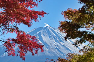 富士山红叶图片 信息阅读欣赏 信息村 K0w0m Com
