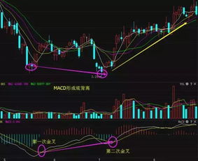 请找出5个有希望之星 k线 的 股票 并 标出 希望之星 出现的时间 - -作业 谢谢