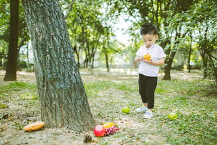 阳光下的小小少年