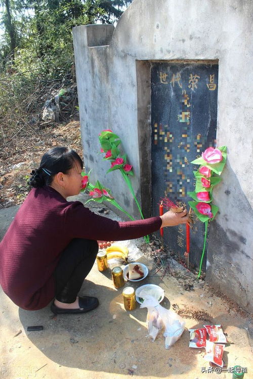 清明将至,农村俗语 女儿莫要去上坟,小心娘家断了门 啥意思