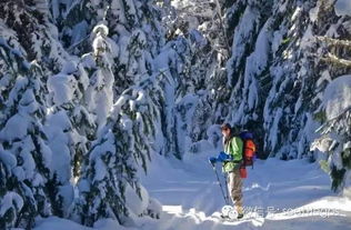 紫金山建不建议冬天爬雪山(紫金山有雪吗)