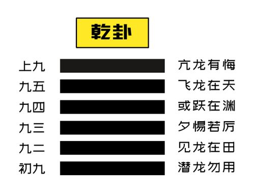 从职业生涯看 乾卦六爻 ,一 爻 一步,层层递进 