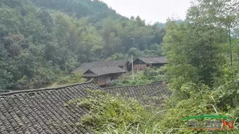 重庆秀山涌洞乡