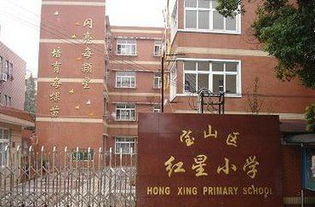 上海十大公立小学,想要进去吗 