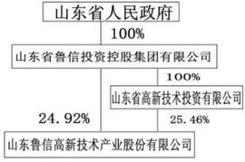 山东鲁信高新技术产业股份有限公司的发展历程