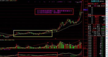 如何利用四大信号寻找主力介入股