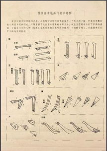 罕见 楷书入门教材 ,建议老师 学生家长收藏