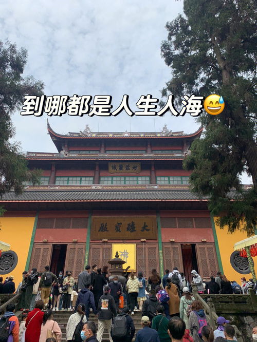 刚从灵隐寺出来的我 