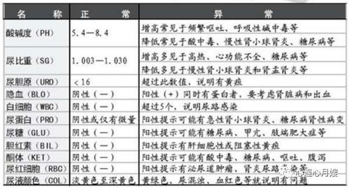 尿常规中的比重1.005是什么意思