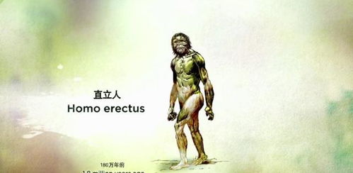 人类与类人猿之间存在近亲关系,类人猿为什么不能向人类方向进化