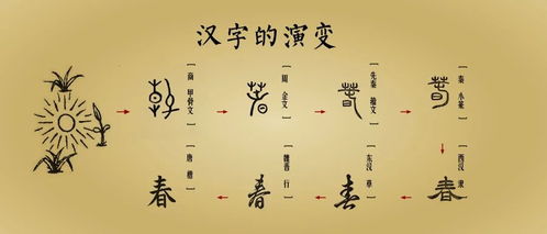 丰年的造句;人寿年丰造句10字左右？