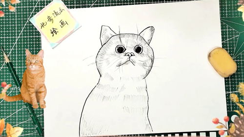画一幅小猫简笔画绘画 