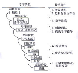 加涅信息加工学习理论概述