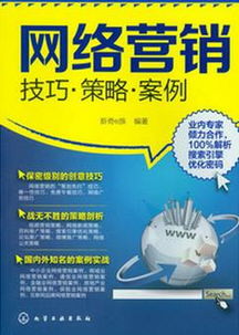 网络营销 技巧 策略 案例 网络营销及网络品牌推广人员必备的工具书 这边书谁有,或者哪里有货卖 