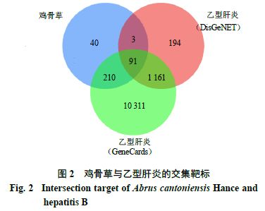 基于网络药理学和分子对接探究壮药鸡骨草治疗乙型肝炎的作用机制