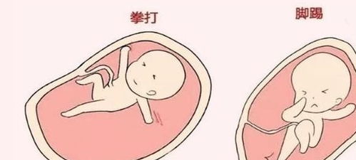 原创胎儿夜间“胎动”多？可能和这3种情况有关，孕妈早了解早好！