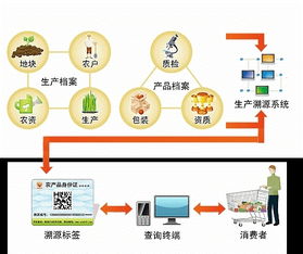 中国进入H7N9疫情高发期 还能愉快的吃鸡吗