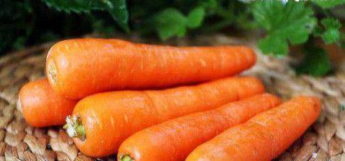 红萝卜生吃有什么功效与作用