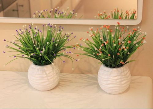 客厅旺财的绿植有哪几种,9种“高档花”，客厅一放，废气吸光，养人更旺家