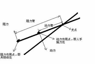 筷子杠杆示意图支点 搜狗图片搜索