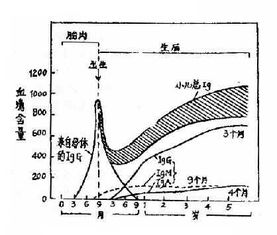 第三军医大学第二附属医院-新桥医院