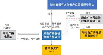 湖南卫视那只股票叫什么？什么传媒？