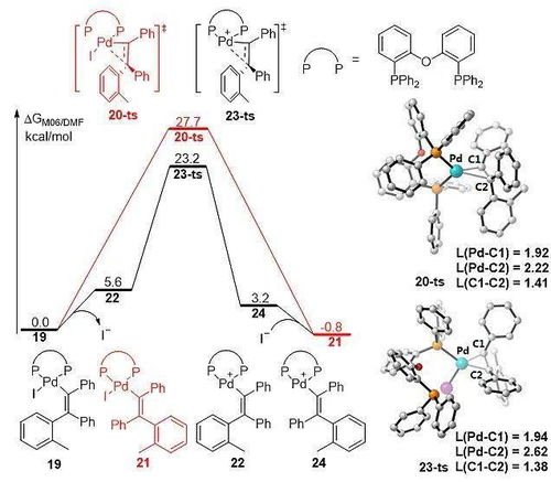 b2的分子轨道式怎么写