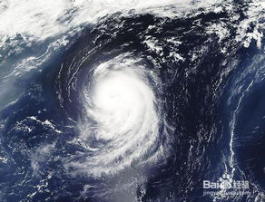 威马逊 超强台风来临防御措施 