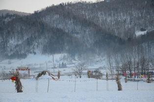 风花雪月三人行 哈尔滨雪乡5日游