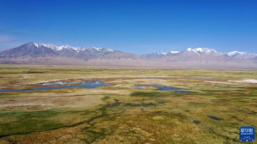 美丽中国丨壮美盐池湾湿地 