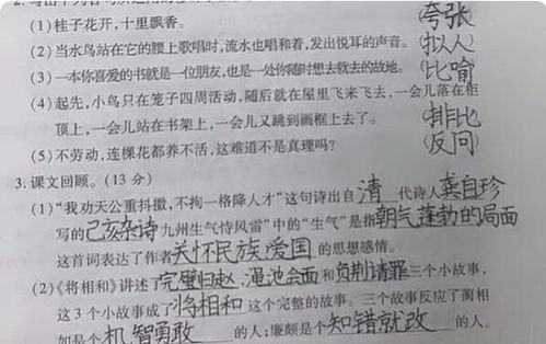 五年级 学霸试卷 走红,字迹工整漂亮,班主任 看到都想打满分