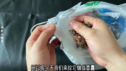 夏季蚊虫凶猛 教你在家自制驱蚊神器 不插电不点火 50米内蚊子