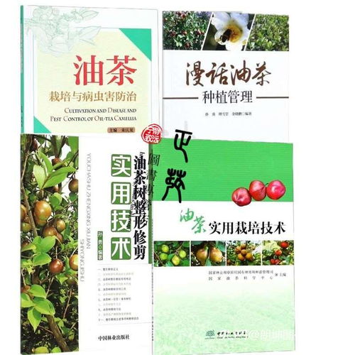 油茶种植管理技术,山茶油树管理技术？