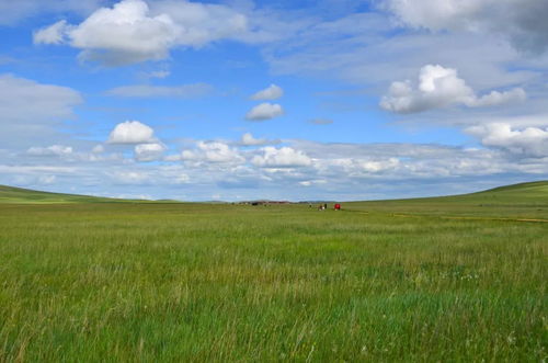 带着妈妈,从广州到内蒙古,探访最美草原之一乌拉盖