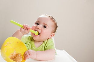 九个月宝宝一天饮食安排