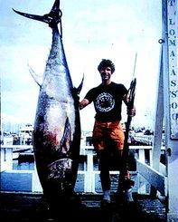 捕获巨型金枪鱼体重达268公斤 