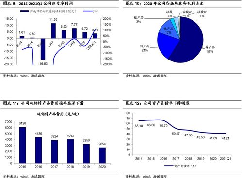 驰宏锌锗参加中铝集团集体业绩说明会，促进投资者交流，实现价值增长