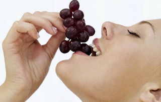 孕妇能吃葡萄吗,孕妇可以吃葡萄吗,怀孕的人能吃葡萄吗 