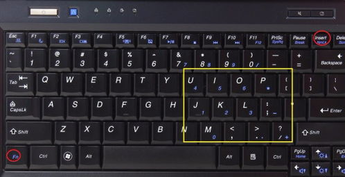 为什么笔记本键盘字母变数字,为什么电脑的输入法会打出数字字母？