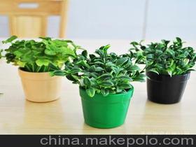 办公桌的绿色植物价格 办公桌的绿色植物批发 办公桌的绿色植物厂家 