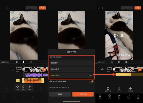 让你的猫开口说话 手机制作短视频,用剪片神器 快影 就够了