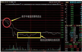 国内股票为什么不能T+0？