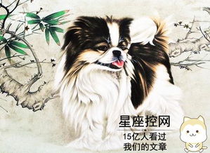 12生肖里的谁,不用算命也知道明年财运大好,不再没钱花