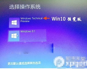 安装双系统win8和win10