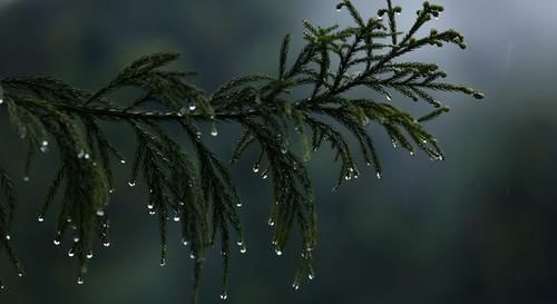 平时风轻云淡,其实很喜欢装傻的星座,冰雪聪明,霸气十足