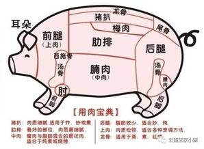 腊月过年把猪杀, 每一块肉都是宝看你如何吃