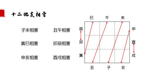 什么样的生肖容易给自己捣乱