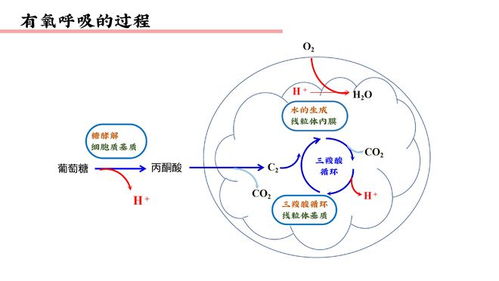 假如存在硅基生命,它们可能是啥样的 科学家定义硅基文明